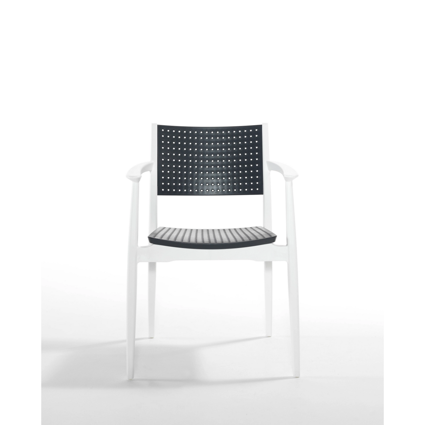 Novussi Seginus Armchair