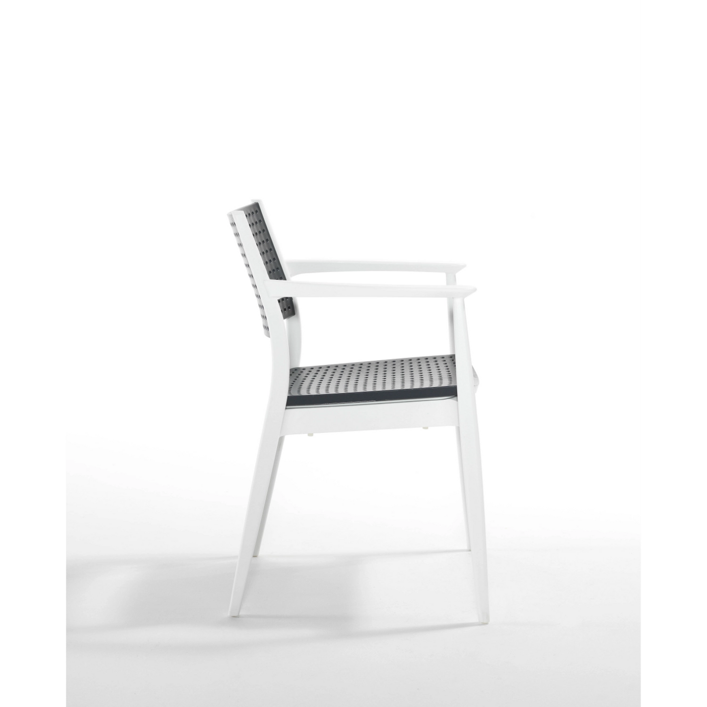 Novussi Seginus Armchair