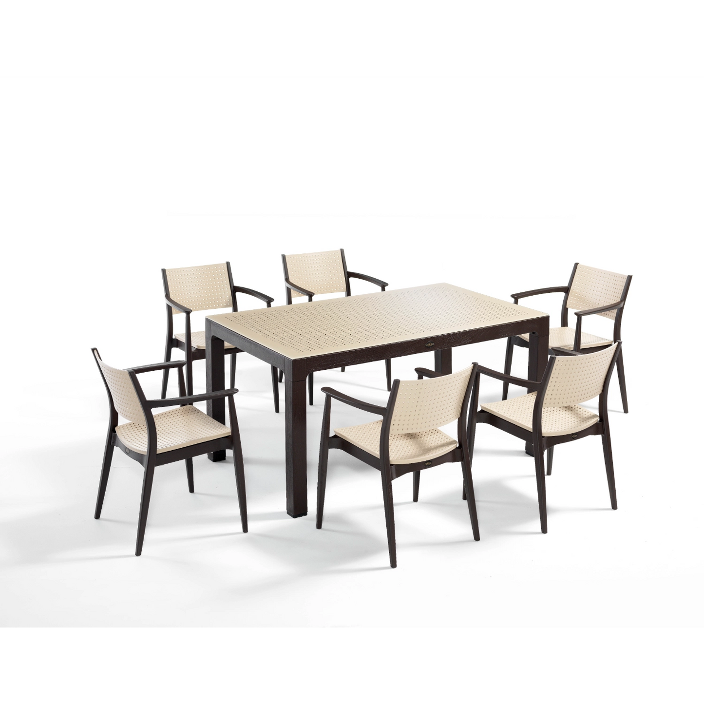 Seginus 6'lı Set