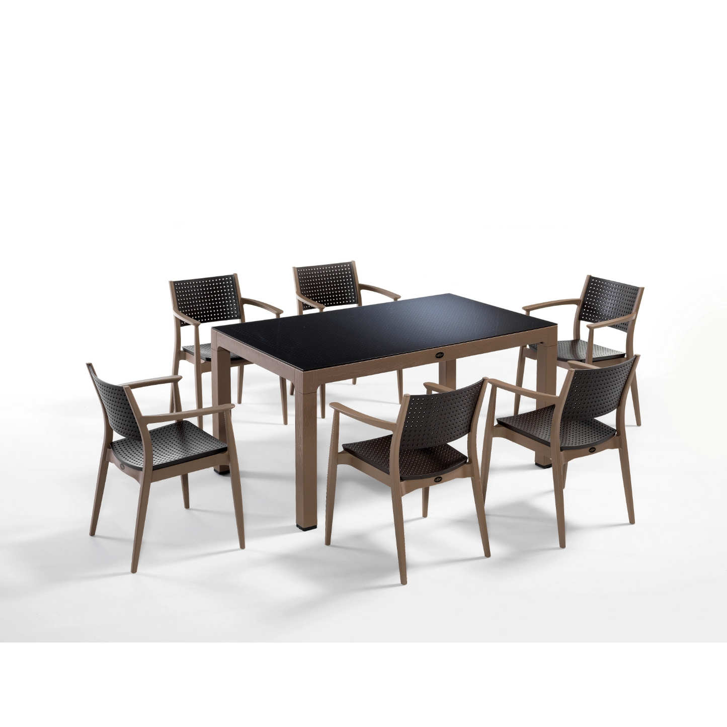 Seginus 6'lı Set