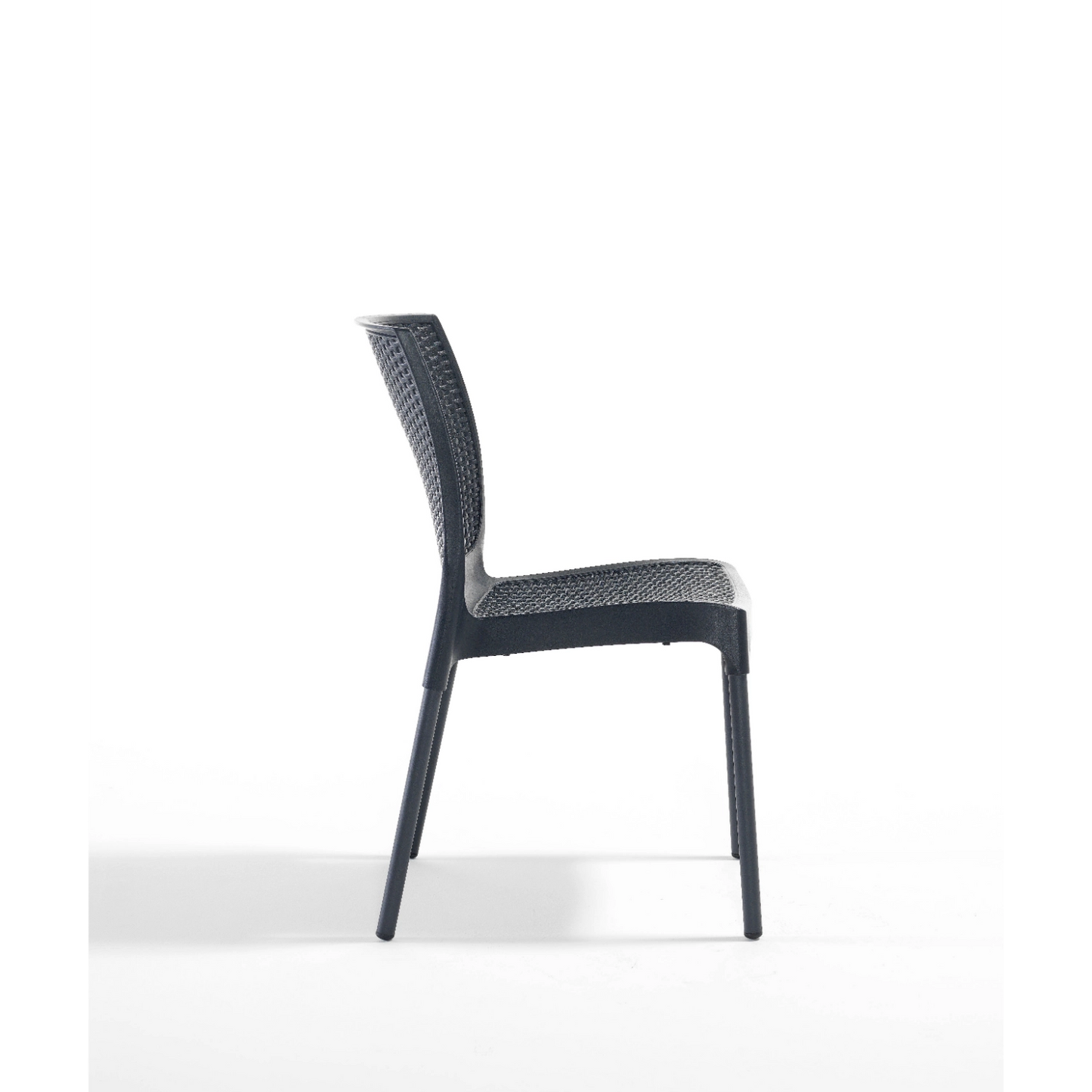 Novussi Sunny Chair